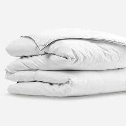 Rosen Plumon Pluma Natural 50% Pecho King