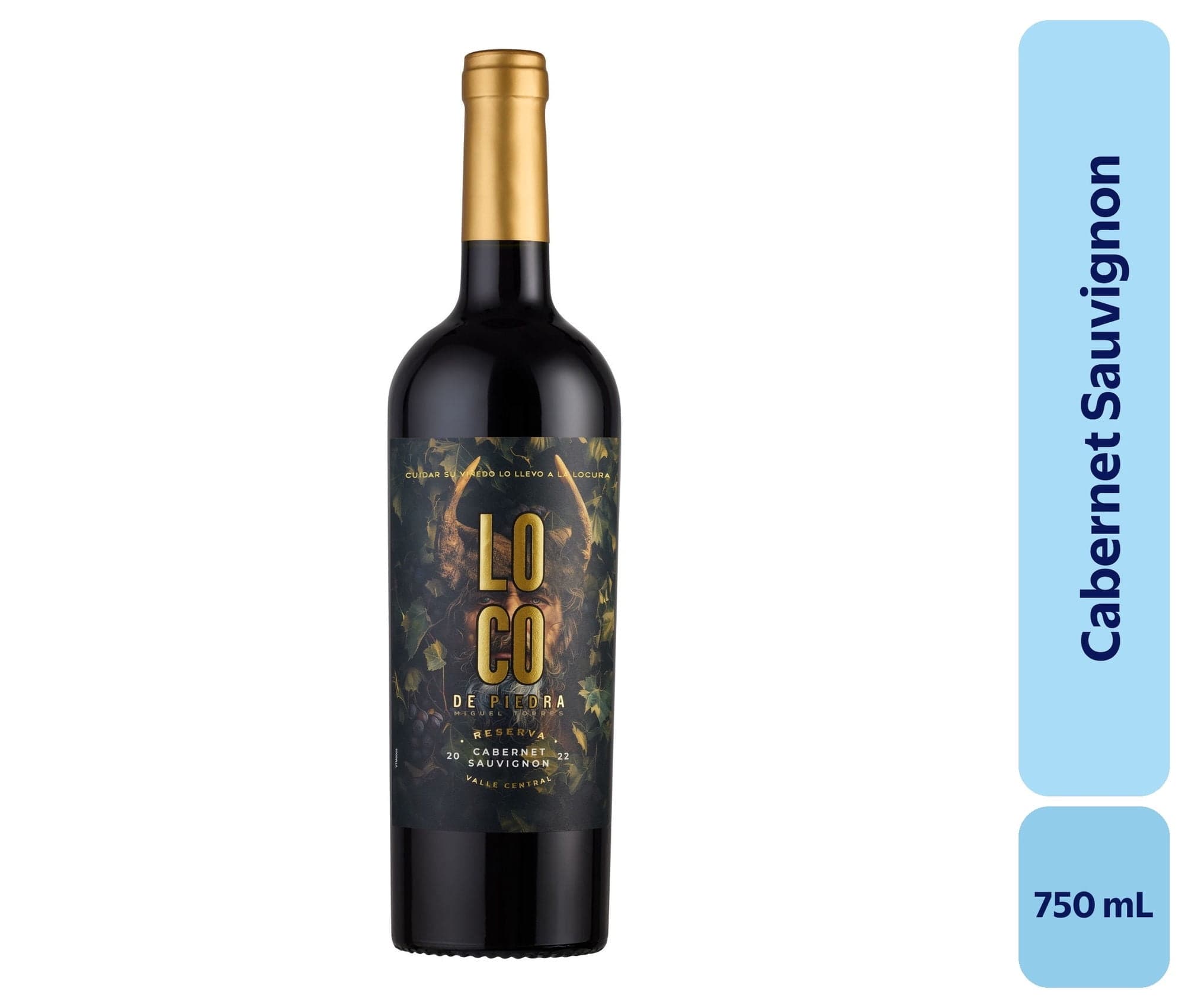 Vino Cabernet Sauvignon Botella, 750 mL
