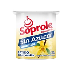 Yoghurt Batido Sin Azucar Sabor Vainilla Pote, 120 g