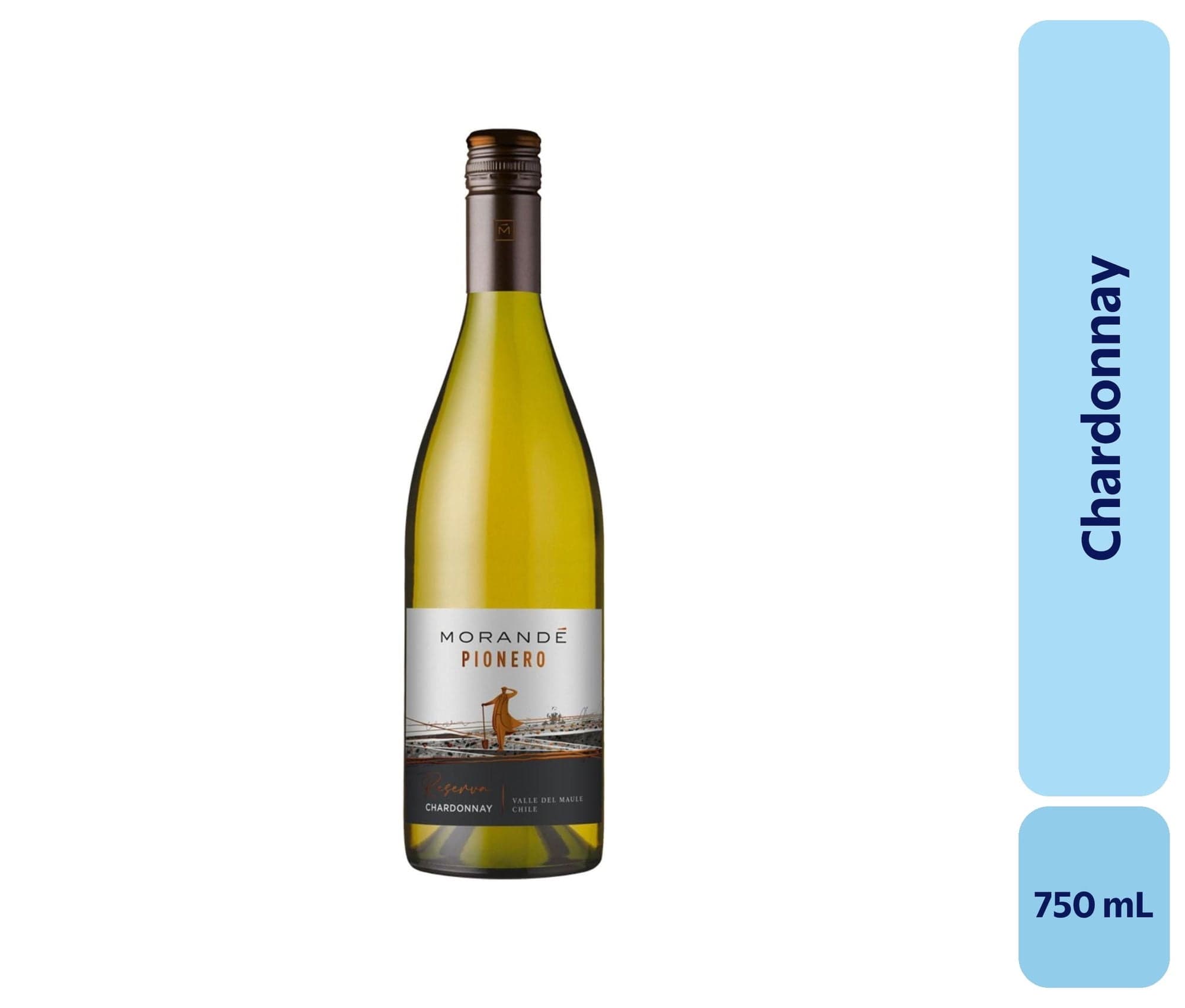 Vino Chardonnay Botella