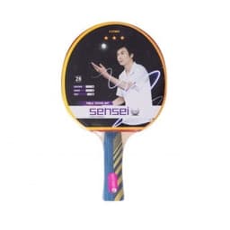 Paleta ping pong 3 estrellas