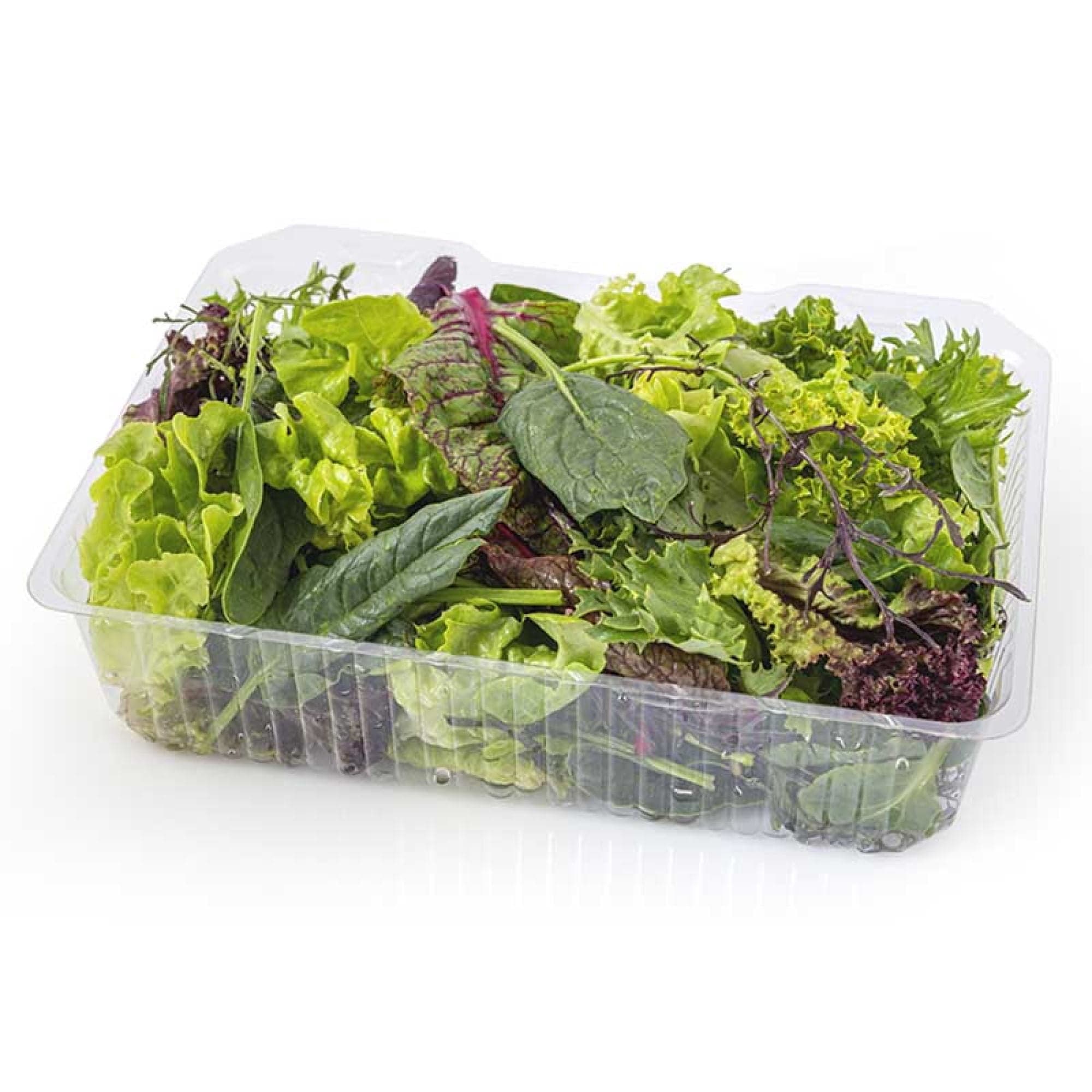 Ensalada Asian Mix Organico, 150 gr