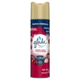 Desodorante Ambiental Aerosol Placer Floral y Frutos Rojos Lata, 255 ml