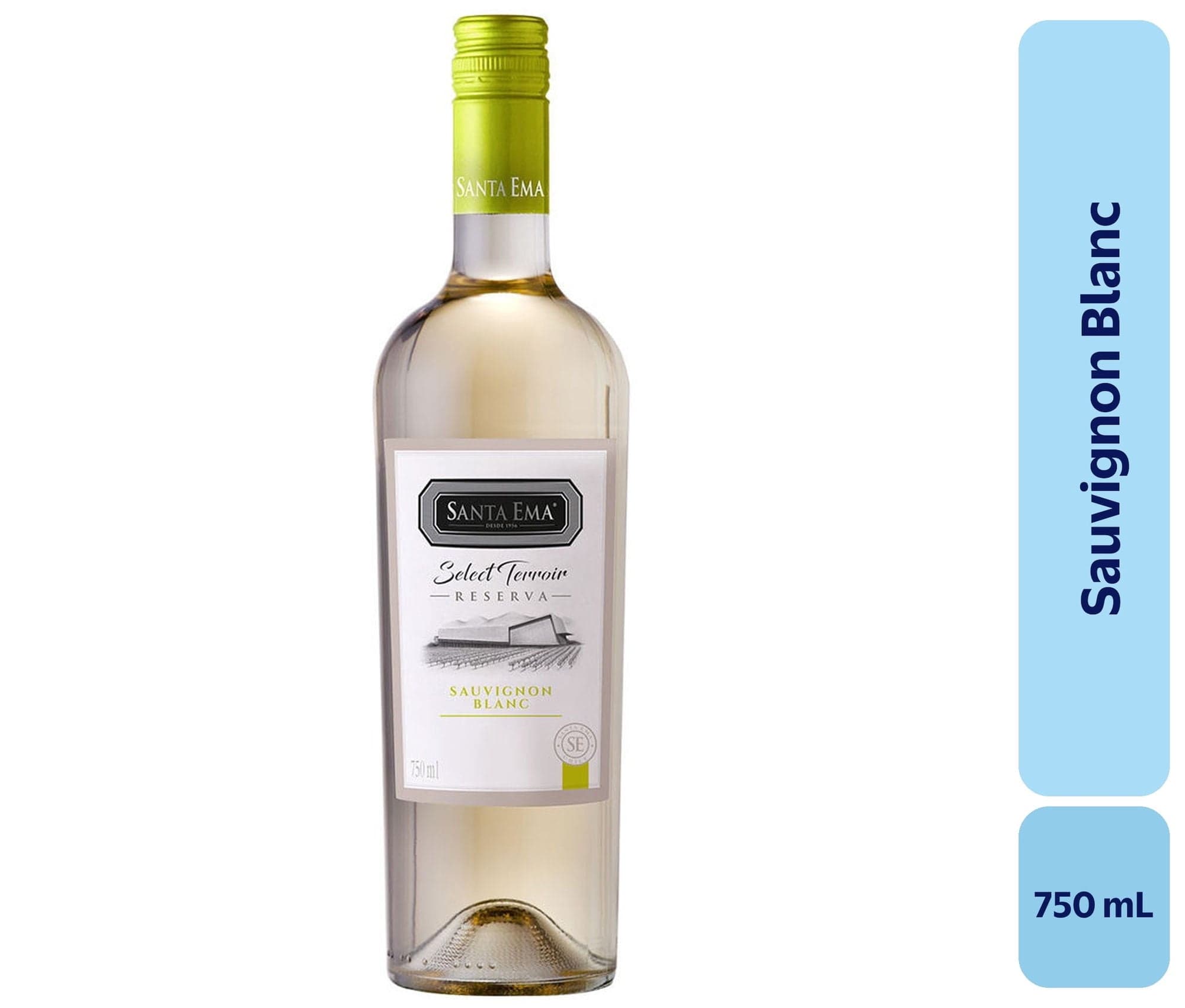 Vino Sauvignon Blanc Botella