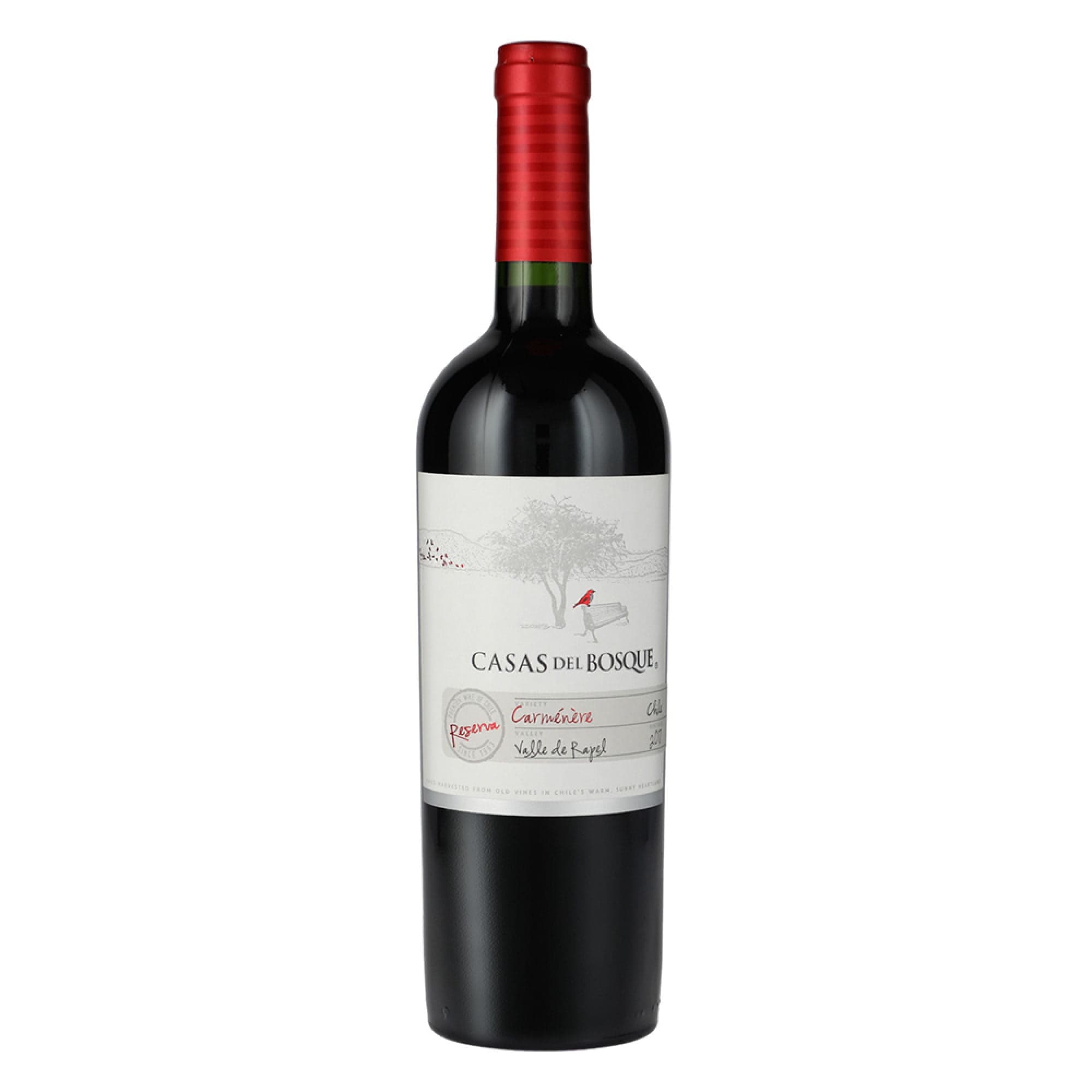 Vino Carmenere Botella